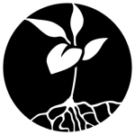 Graphic of growing plant and roots, representing treatment for fistula sufferers