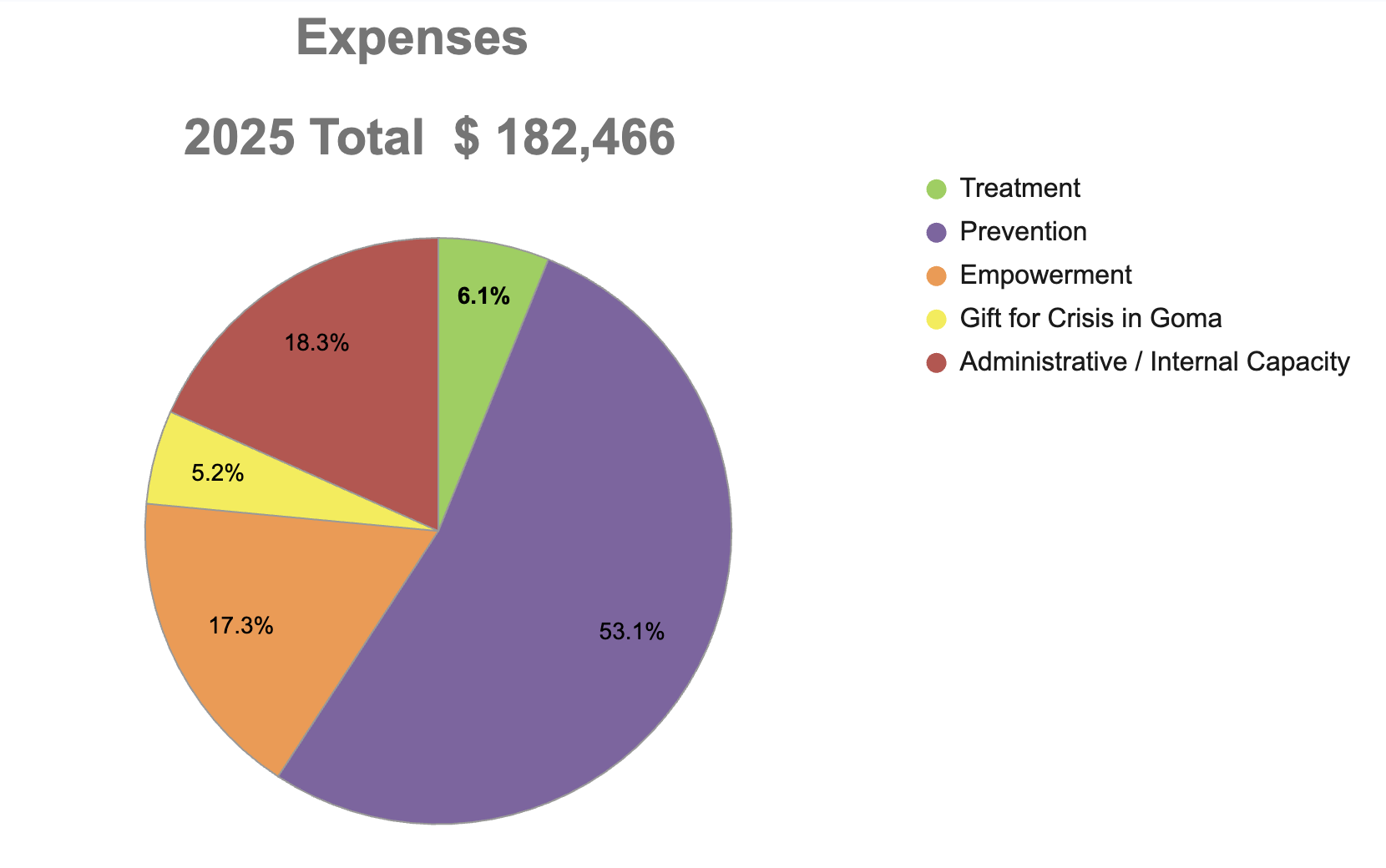 Pie chart showing total expenses and breakdown of spending for 2025